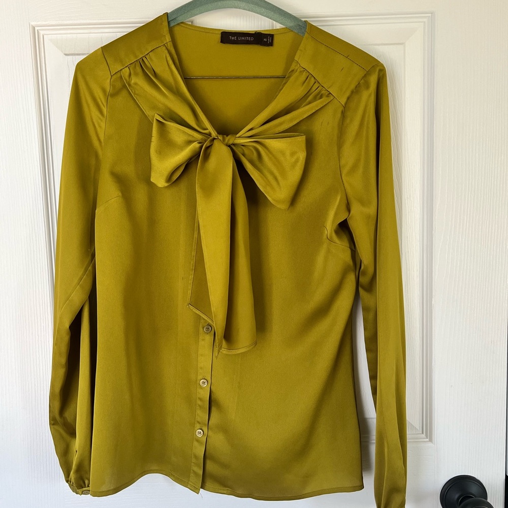 The Limited tie neck blouse